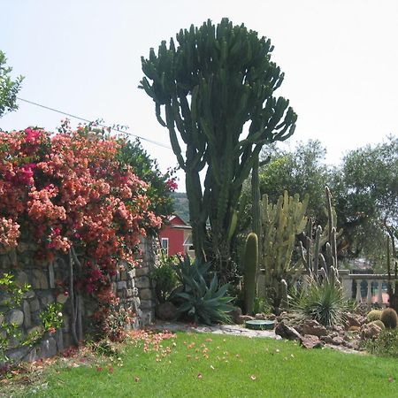 Ca Dei Conti Villa San Bartolomeo Al Mare Ruang foto