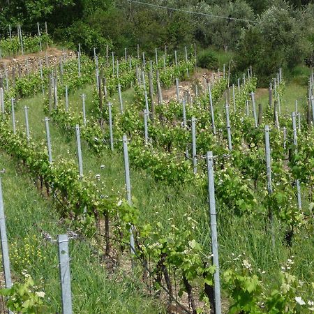Ca Dei Conti Villa San Bartolomeo Al Mare Ruang foto